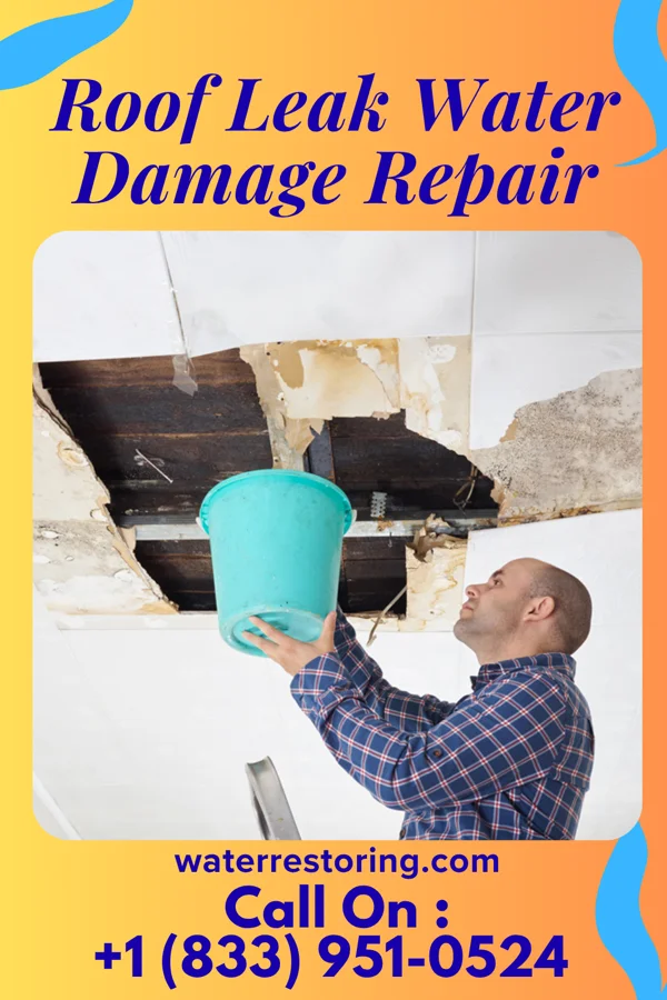 Roof Leak Water Damage Repair in Panama, IL